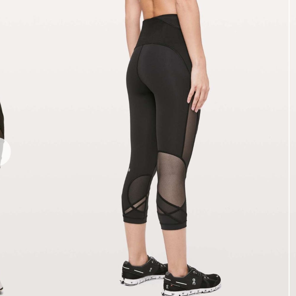 Clear the Court Crop 21”